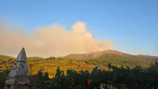 El incendio de Pinofranqueado, sin llama en la provincia de Salamanca tras ser controlados los dos frentes abiertos