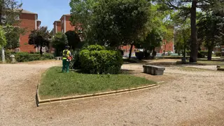 Operarios municipales trabajando en el parque de los Jardines de Peñaranda