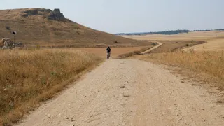 RutaArapiles