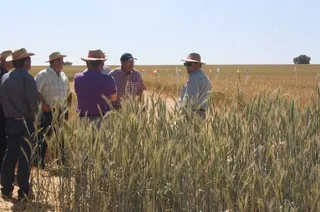 Programa desarrollo rural