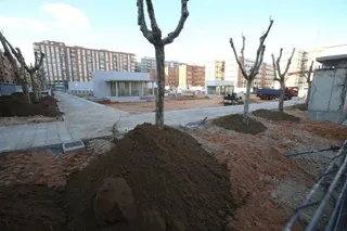 El parque Garrido recupera sus árboles