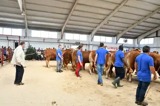 Momento del concurso limusín | Foto: Salamaq