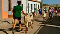 Villagonzalo moviliza a los más pequeños con su encierro de mini bueyes - Ayuntamiento de Villagonzalo de Tormes