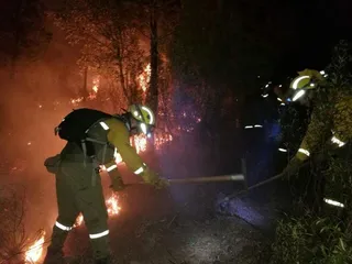 Un incendio intencionado calcina una hectárea de matorral en Colmenar de Montemayor
