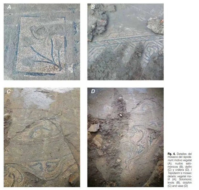 Mosaicos encontrados en Fresno Alhándiga. Fotos estudio Verónica Pérez y Mª de los Reyes de Soto
