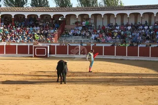 Corrida de Toros en Peñaranda de Bracamonte