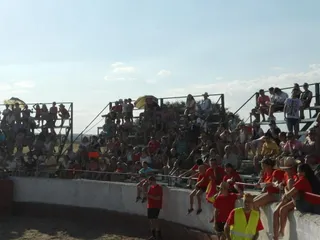 Fiestas en Castillejo de Martín Viejo: Domingo