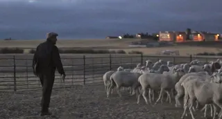 El largometraje ‘El Pastor’ llega a los cines Megarama con un pase especial el 10 de agosto