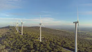 Parque eólico Sierra de Dueña de Iberdrola en plena dehesa salmantina