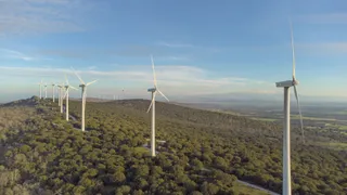 Parque eólico Sierra de Dueña de Iberdrola en plena dehesa salmantina