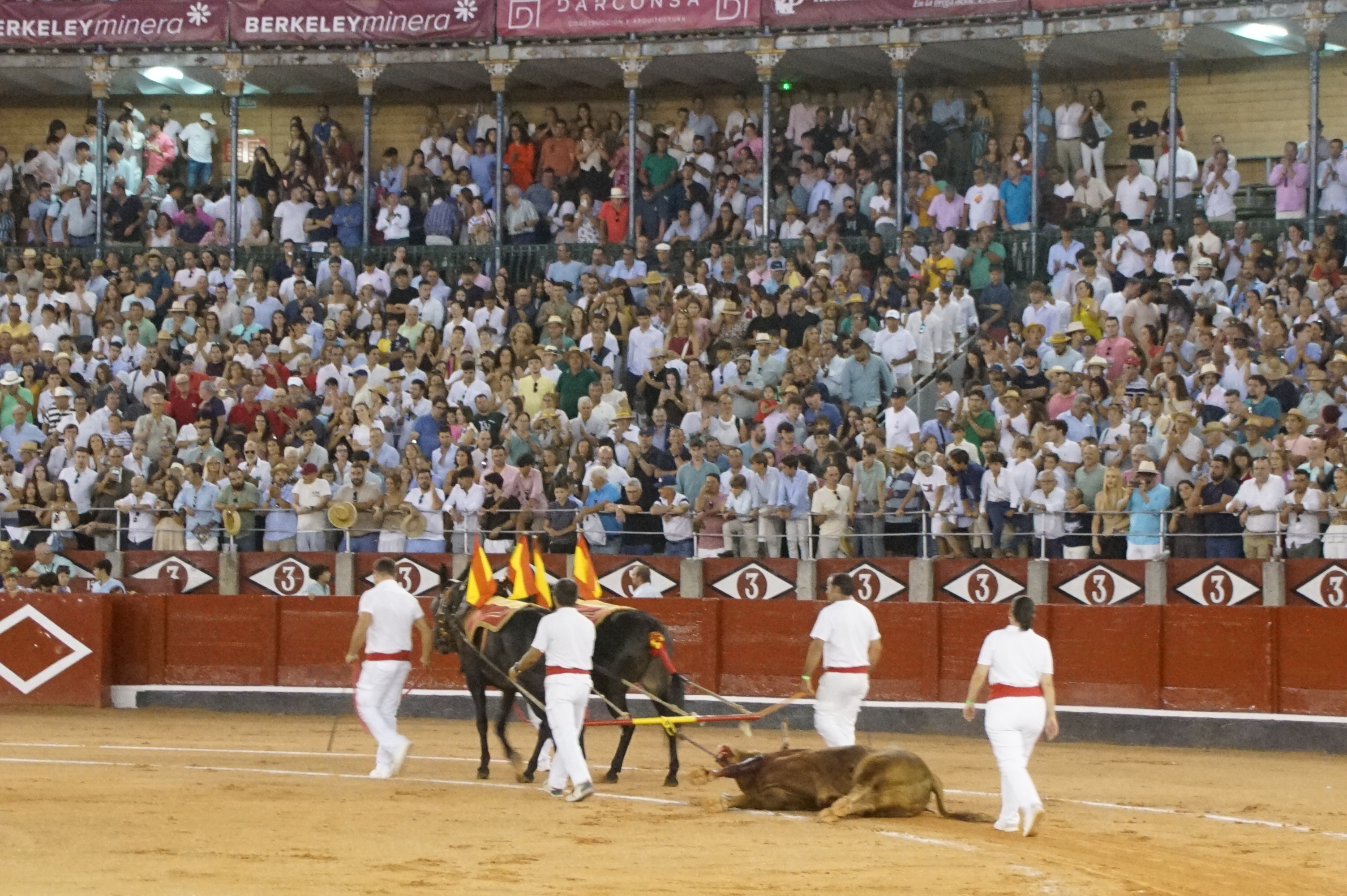 Vuelta al ruedo al toro 'Vanidoso' del hierro de Garcigrande | Juanes