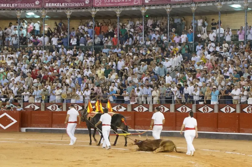 Vuelta al ruedo al toro 'Vanidoso' del hierro de Garcigrande | Juanes
