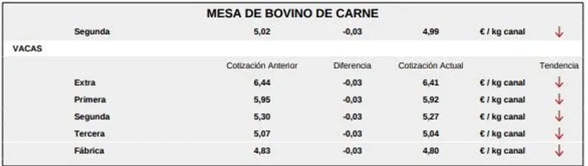 Mesa de bovino de carne 1 lonja de Salamanca 11 de mayo de 2026