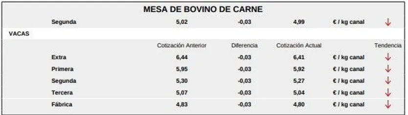 Mesa de bovino de carne 1 lonja de Salamanca 11 de mayo de 2026