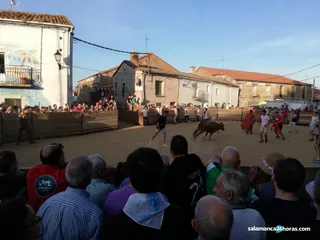 Estreno de los encierros en Tamames (3)