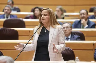 Esther del brío en una sesión del Senado
