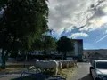 Feria ganadera de San Antonio en Alba de Tormes