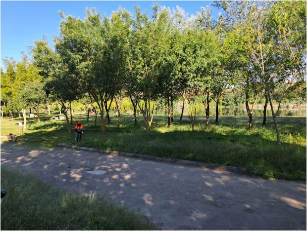 &Aacute;rea Recreativa Las Playas en Alba de Tormes | Ayuntamiento de Alba de Tormes
