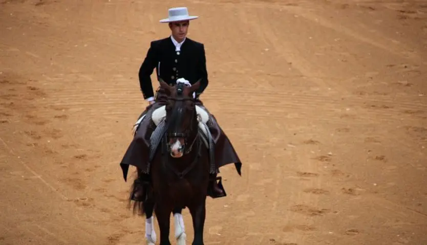 Festival taurino Domingo de Carnaval 2025 en Ciudad Rodrigo: rejones y novillada sin caballos. Foto: S24H