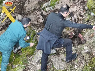 Imagen del hallazgo de la cabra | Guardia Civil Salamanca