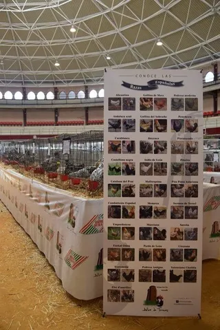 Avicoalba 2017