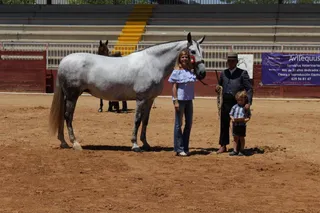 Finaliza con la entrega de premios el Concurso de Caballos de Pura Raza Española