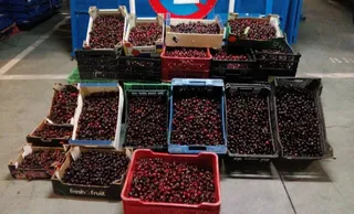 La Policía Local se incauta en el rastro de 300 kilos de cerezas y 74 pares de zapatillas presuntamente falsificadas