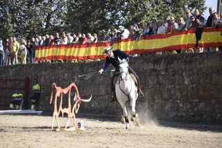 Ciudad Rodrigo Feria Caballo 2022 (5)