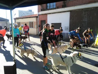 Salida