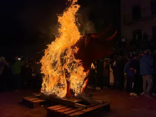 GALERÍA | Pasacalles con la quema del toro de cenizos y petición de cenizos en Ciudad Rodrigo 2024. Fotos: Verónica Tapia