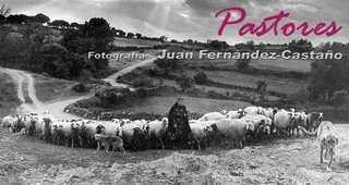 La exposición Pastores, de Juan Fernández-Castaño, hasta el 7 de noviembre en el Centro Cultural