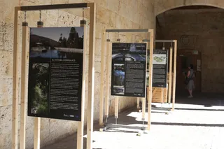Exposición sobre El Bosque de Béjar en la Casa de las Conchas