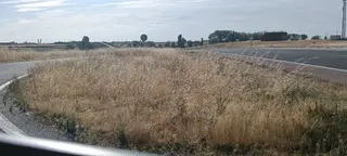 Todos los veranos las malas hierbas invaden la media luna de acceso a la localidad.