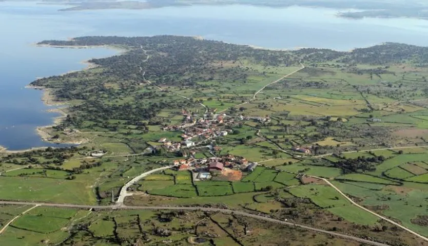 Sardón de los frailes