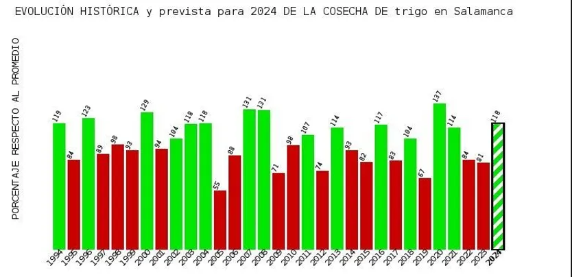 Evolución histórica y prevista para 2024 de la cosecha de trigo en Salamanca. Itacyl