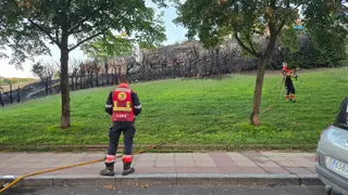 Incendio junto al parque Valhondo | S24H