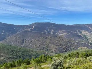 Paso de los lobos hacia Monsagro. Zona afectada por el incendio (5)