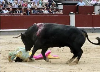 Castaño recibe el alta médica y lidiará en La Glorieta el 9 de junio