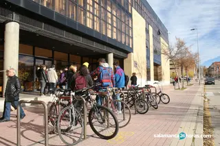 Bicicletas en el Campus. Foto de archivo