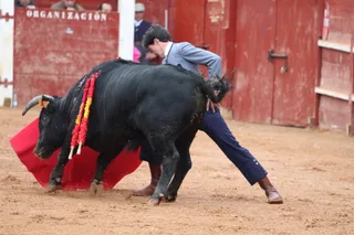 Festival taurino Capea, Aguado, Ortega y Diego Mateos en Ciudad Rodrigo