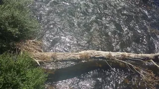 Riberas del Tormes en Tejares