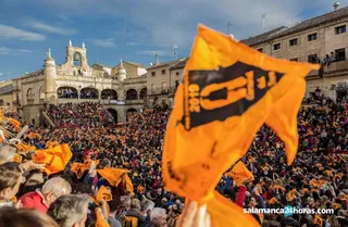 24 copia (Copy)