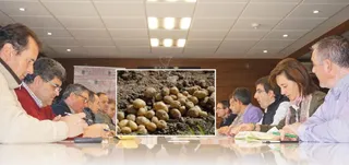 Los compradores de patata no acuden a la Lonja