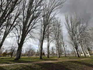 Parque, jardines y campos de fútbol de La Aldehuela
