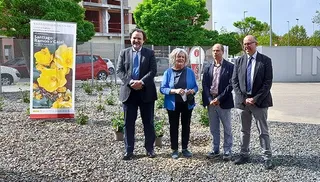 NORMAL Homenaje Ramón y Cajal 170