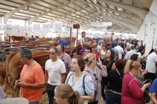 Ambiente en Salamaq y circular de tierra de sabor