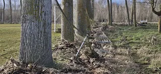 Juzbado, daños causados por la borrasca Juan en el campo de fútbol y la chopera1