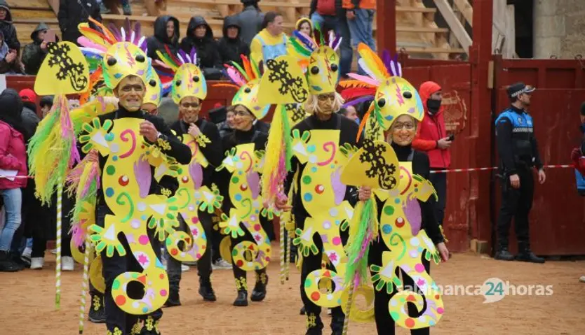 Desfile disfraz callejero Sábado Carnaval Ciudad Rodrigo 2025 (16)