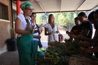 1.200 alumnos participan en el programa de huertos escolares