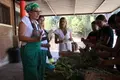 1.200 alumnos participan en el programa de huertos escolares